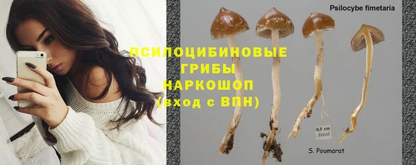 героин Абаза