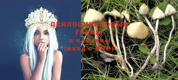 винт Алзамай